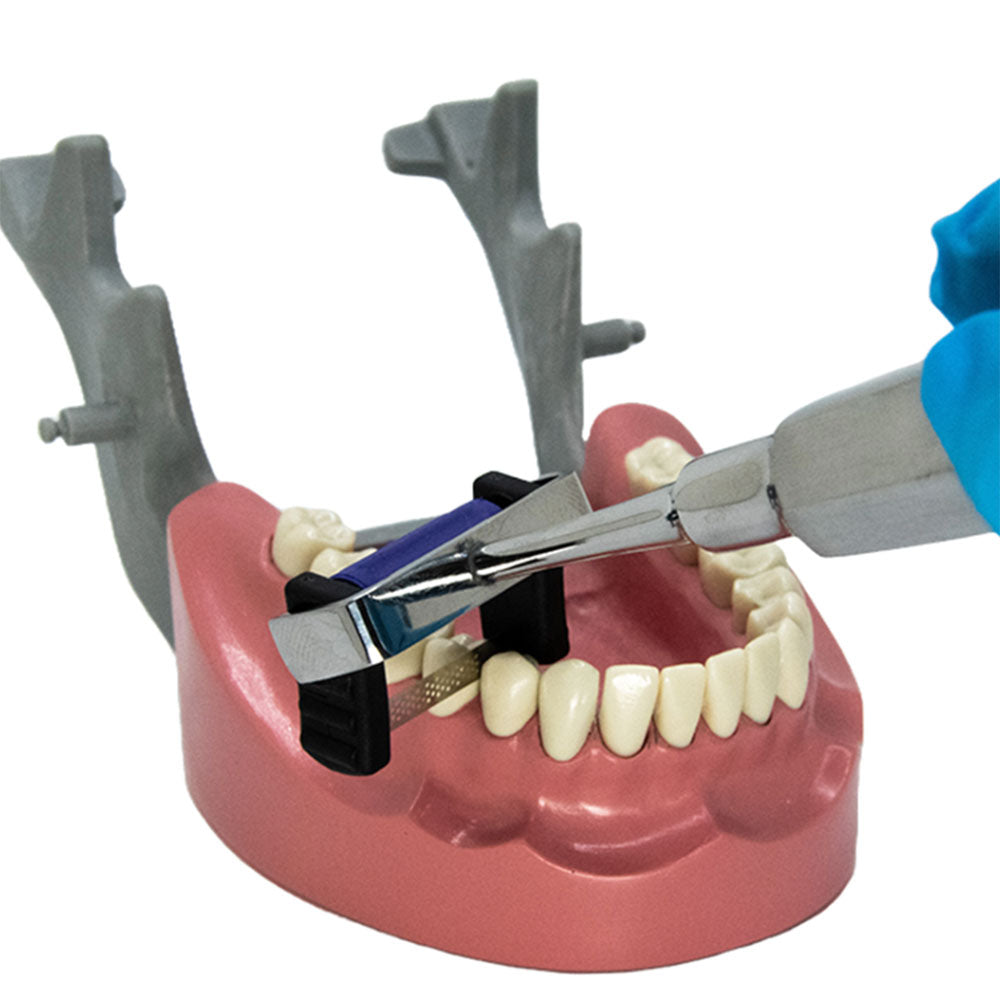 Magic Strip Holder: MS-Holder IPR
